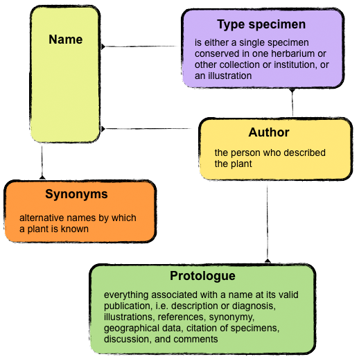 nomenclature chart